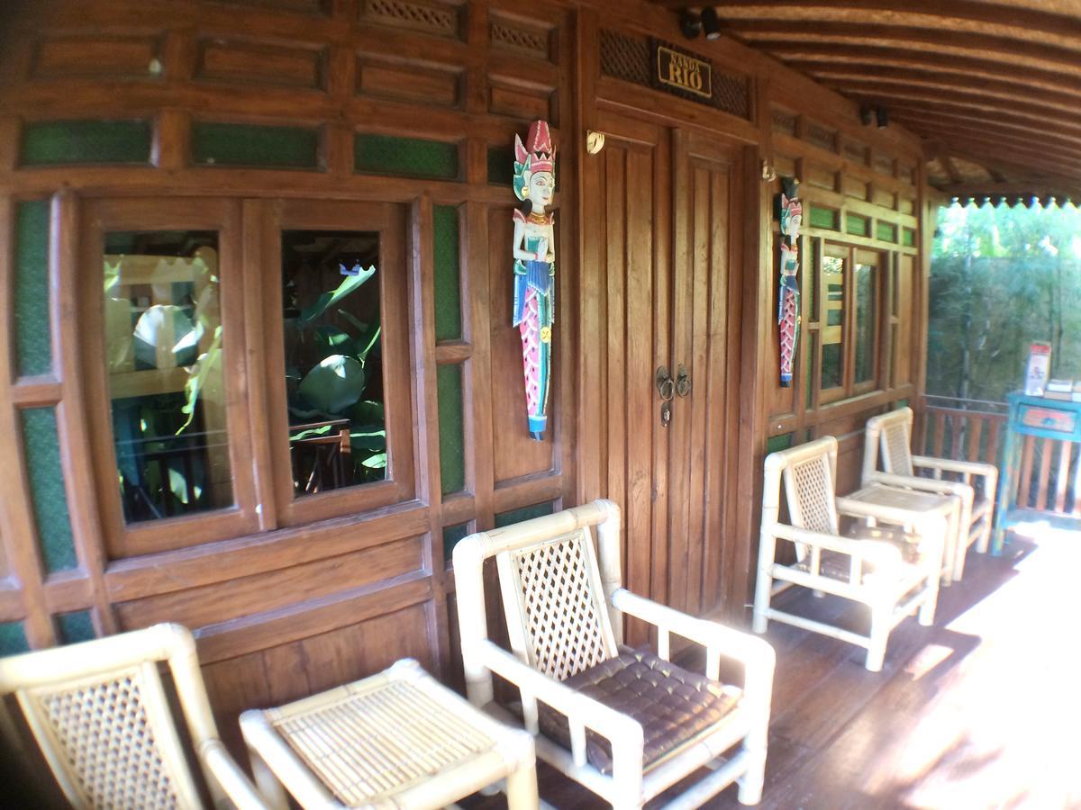 Green Paddy Hostel & Villa Ubud Exterior foto